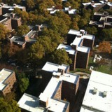 White-Roofs-In-Brooklyn-2011-B 3